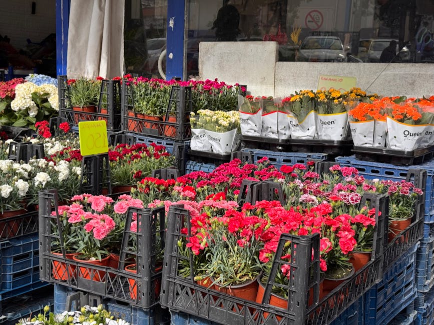 An outdoor display of potted flowers arranged on black plastic crates, featuring vibrant pink, red, orange, yellow, white, and purple blooms. The flowers include carnations, chrysanthemums, and other 