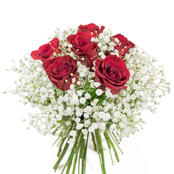 In this elegant bouquet photographed against a crisp white background, the distinctive charm of Surrey Quays' floral craft blooms forth in every detail. At the centre, six generously sized, velvety red roses seem to glow from within, their petals artistically spiralled in lush fullness-a clear symbol of deep love and enduring passion. Overflowing around these dramatic blossoms, a lively mass of immaculate white gypsophila provides a soft, cloudlike setting, each tiny baby's breath flower adding lightness and a whisper of purity. The interplay of bold colour and delicate texture is seamless, echoing the balanced tranquility found along the Thames Path and the serene gardens near South Dock. Every stem is vibrant and freshly snipped, displayed in a hand-tied bundle that speaks of skill and care from a florist devoted to their Surrey Quays community. Presented with keen attention to harmony and proportion, the composition suggests a gentle breeze and soft sunlight, imbuing the bouquet with optimism and celebration. Ideal for expressing sincere emotions-be it love, gratitude, or a quiet gesture of appreciation-this arrangement is as versatile as it is beautiful, fitting perfectly into both milestone occasions and spontaneous surprises for those who mean the most.